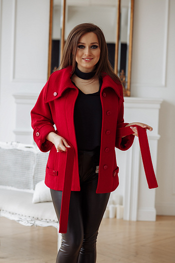 2 Пальто 19012  (красный) 