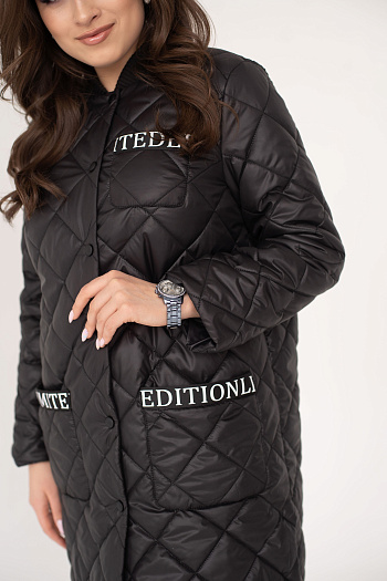 2 Куртка женская демисезонная 22250/б (черный)