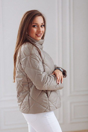 2 Куртка женская демисезонная 22300  (какао) 
