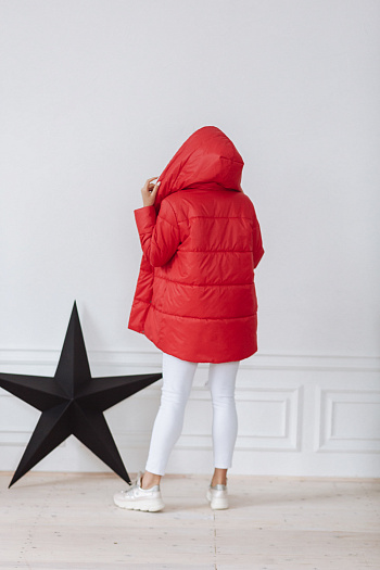 2 Куртка женская демисезонная 22260  (красный) 