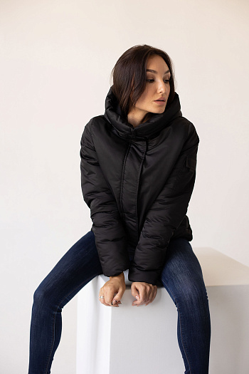 3 Куртка женская зимняя 23350 (черный )