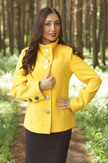 2 10-4   (желтый) 