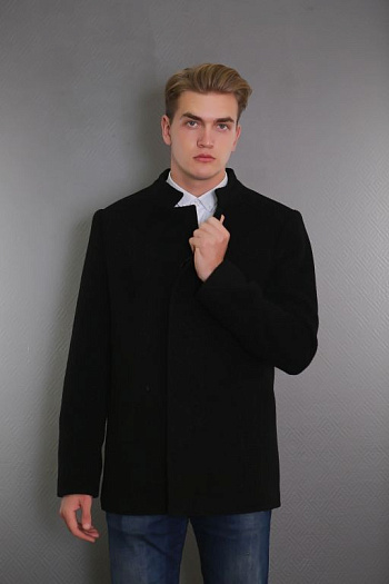 2 Пальто мужское демисезонное 1680-000 (черн.) 