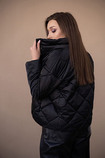 5 Куртка женская демисезонная 22300 (черный 2)