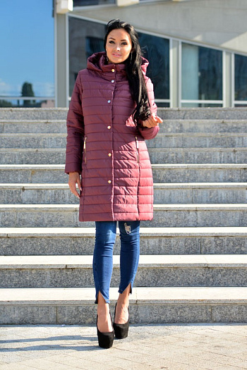 2 18150  (бордовый) 