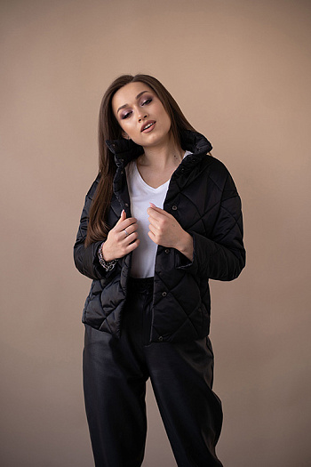 2 Куртка женская демисезонная 22300 (черный 2)