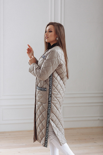 4 Куртка женская демисезонная 22250  (какао) 