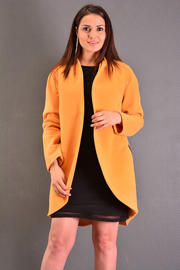 2 А365  (горчица) 