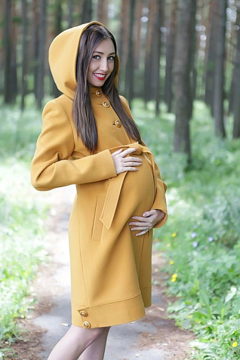 3 Пальто для беременных 15-515  (горчица) 